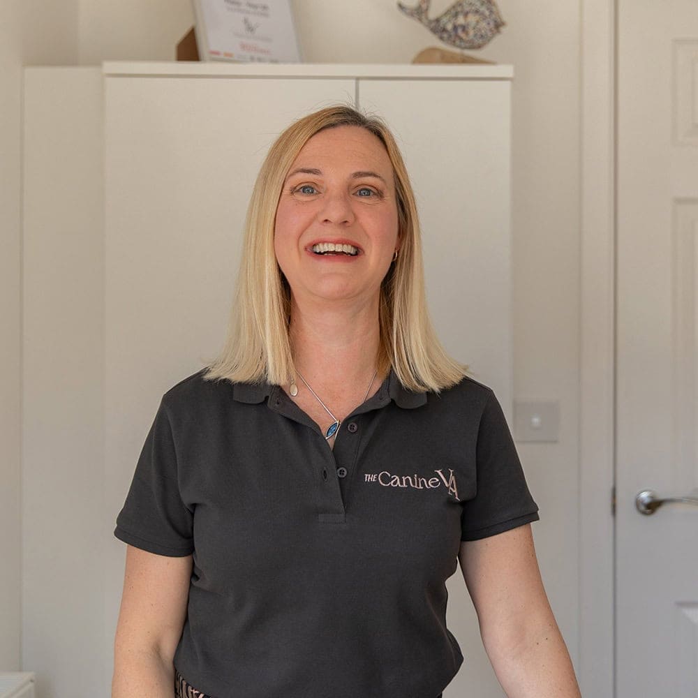 Fiona Pedley providing business support for pet businesses, canine professionals and veterinary professionals