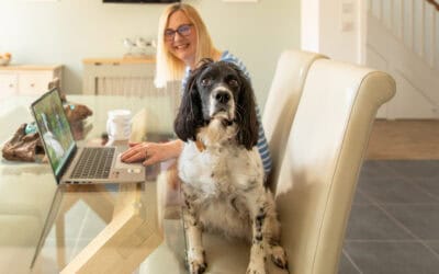 Which Online Course Platform Is Best for Your Canine Business?