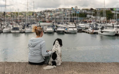 Which Email Marketing Platform Do I Recommend for Canine & Veterinary Businesses?