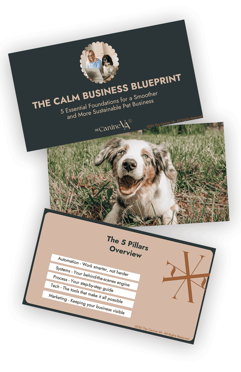 The Canine Va Free Download The Calm Business Blueprint
